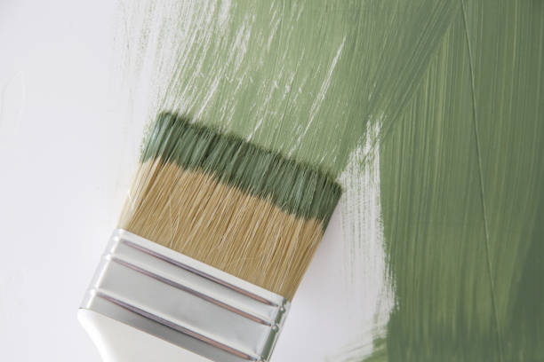 Mold Remediation for Vacation Homes in Arkansas City, KS