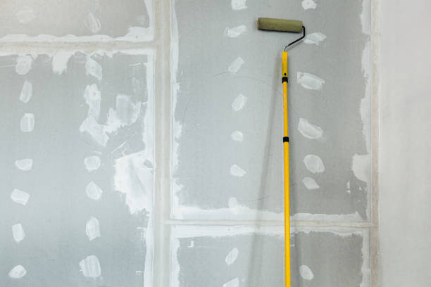 Best Black Mold Removal  in Arkansas City, KS