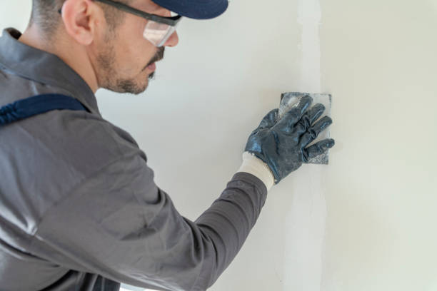 Best Comprehensive Air Testing for Mold Contaminants  in Arkansas City, KS