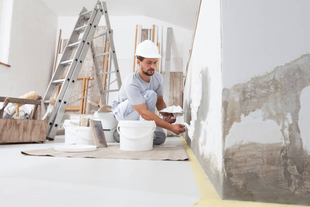 Best Mold-Related Health Consultation  in Arkansas City, KS