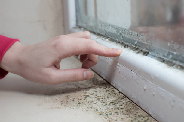 Best Post-Remediation Verification Testing  in Arkansas City, KS