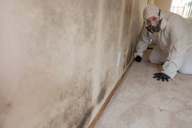Best Mold Odor Removal Services  in Arkansas City, KS
