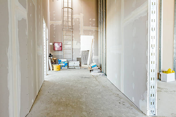 Best Emergency Mold Remediation  in Arkansas City, KS